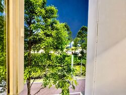 Edgefield Plains (Punggol),  #607268521